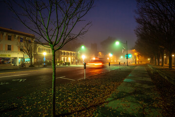 Foggy Autumn Morning in Princeton New Jersey