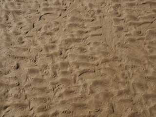 wet rippled sand on a beach at low tide with the imprints of bird tracks forming a pattern on the surface