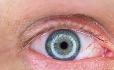 close up of a female eye