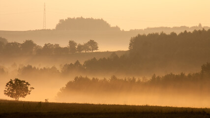 Mgły nad łąką o wschodzie słońca © Waldemar
