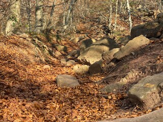 Espectaculares fotos de la naturaleza en Otoño
