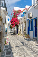 Traditional Cycladitic alley with a narrow street, whitewashed houses and a blooming bougainvillea...