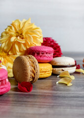 Sweet macaroons and colorful flowers close up on wooden table with copy space