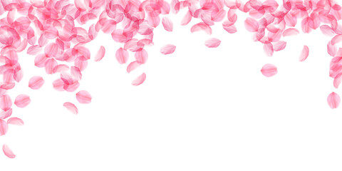 Sakura petals falling down. Romantic pink silky bi