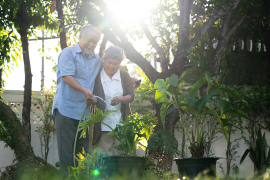 Happy retirement life, Asian elderly couples plant a tree in the garden.
