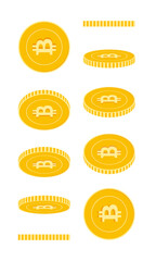 Bitcoin, internet currency coins set, animation re