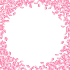 Sakura petals falling down. Romantic pink bright m