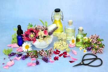 Naturopathic herbal medicine with summer flowers and herbs with oils to make aromatherapy essential...