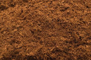 Coconut substrate background.