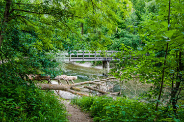 Brugg, Wasserschloss, Flusslandschaft, Aare, Fluss, Aareuferschutzgebiet, Wald, Waldweg, Brückenwanderung, Auenschutzpark, Aargau, Sommer, Schweiz