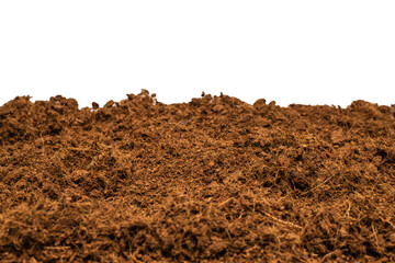 Coconut substrate background.