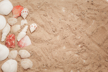 The idea for putting text in the summer, which consists of shells decorated as a frame and a sandy background. copy space.