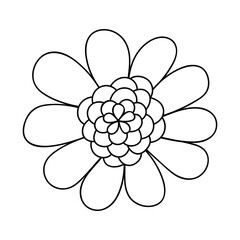 Hand drawn flower doodle