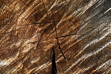 Old brown wood cracked background close up logs