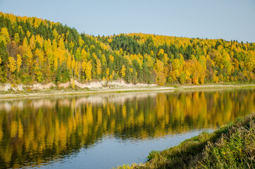 autumn yellow forest on the river Bank. Blue sky and forest reflected in the water.