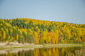 autumn yellow forest on the river Bank. Blue sky and forest reflected in the water.