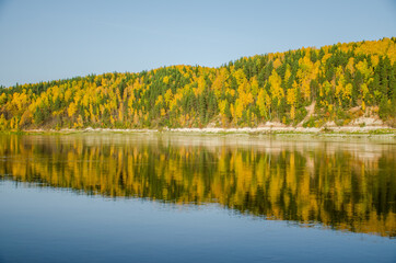 autumn yellow forest on the river Bank. Blue sky and forest reflected in the water.