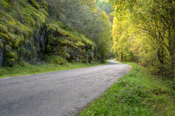 Beautiful autumn light on a country road