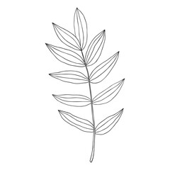 Vector contour drawing. Hand-drawn leaves template