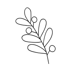 Cute single hand drawn herbal element