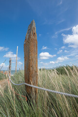 Old Broken Perforated Timber Pile At Beach Of Texel