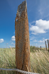 Old Broken Perforated Timber Pile At Beach Of Texel