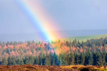 rainbow over the field