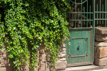 Old vintage retro weathered metal green door of house garden