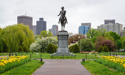 Fototapeta premium Boston Common