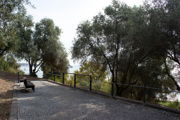 the road in the park