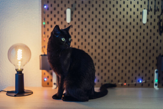 Escritorio con luces y tablet en la mesa