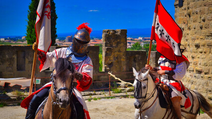 Fototapeta na wymiar Chevaliers