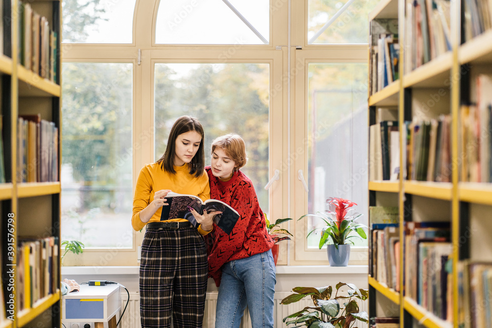 Wall mural two girls university students in library discussing plot of a novel, standing between bookshelves ne