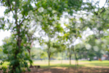 defocused bokeh background of garden trees