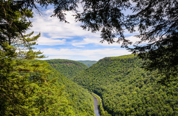 Pine Creek Gorge