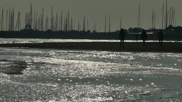 Video mare con gabbiani persone e barche in 4K