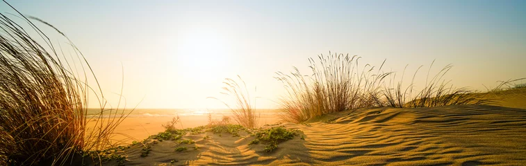 Foto op Plexiglas Afgelegen strand bij zonsondergang © Studio-FI