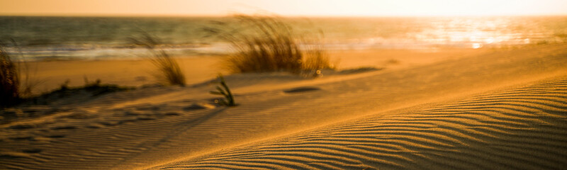 Wind swept sand dunes at sunset