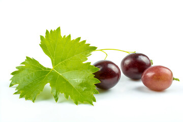 Grape leaf and berries of pink grapes isolated on white background.
