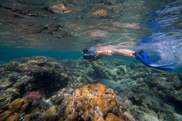 
snorkeling, beautiful girl swims by the reef