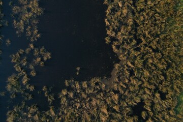 Aerial view or top view over a small wswamp with loads of grass
