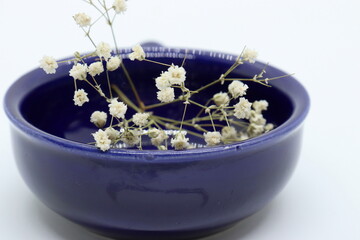 Obraz na płótnie Canvas Small and white wildflowers in indigo blue teacup, peace and joyful times
