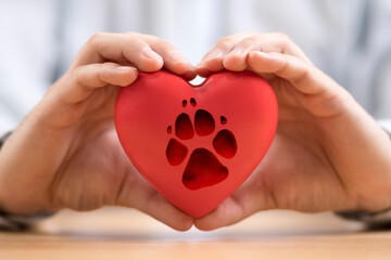 Red heart with dog paw print in hands