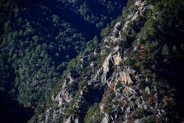 Tree-covered mountains in the Pyrenees in Andorra