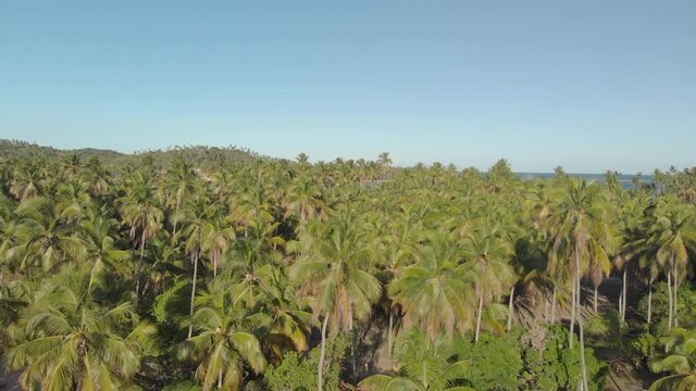 Drone Praia 