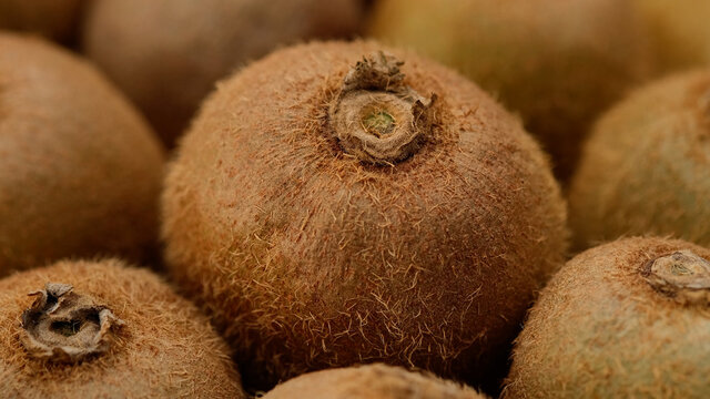 Whole Kiwi Fruit Close Up