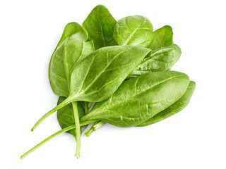 Spinach bunch of fresh green leaf. Healthy eating natural organic vegetable. Greens with bed, isolated on white background.