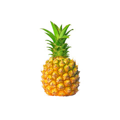 Single whole pineapple fruit isolated on white background. Fresh pineapple, ananas comosus
