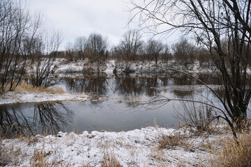 Trees near the river