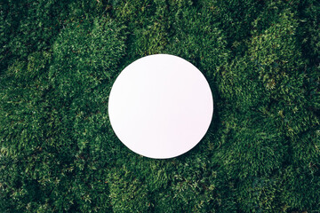 Creative layout made of circle card note on green grass, moss background. Top view. Copy space....